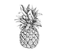 qui dit antioxydant dit bon pour ralentir le vieillissement prématuré de la peau ! Par ailleurs, en raison des enzymes qui le composent, et notamment la bromelaïne, l'ananas a également des propriétés exfoliantes et anti-inflammatoires. contient par ailleurs des acides intéressantpour un « coup d'éclat »; lisse et améliore l’aspect de la peau; aussi utilisé pour l'équilibre des peaux mixtes ou booster la tonicité des épidermes fatigués. 